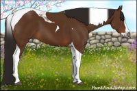 Horse Color:Gray Bay Splash Tobiano