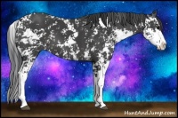 Horse Color:Black Sabino