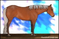 Horse Color:Silver Bay