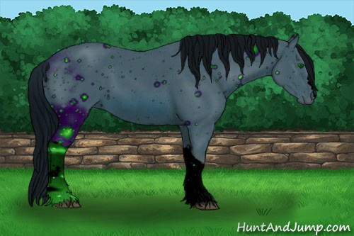 Horse Color: ERROR: UNKNOWN ANOMALY