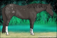 Horse Color:Smoky Black 