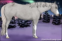 Horse Color:Silver Black Blanket 