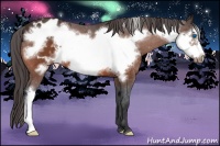 Horse Color:Bay Frame Blanket 