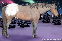 Horse Color:Bay Snowcap Rabicano 