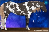 Horse Color:White Spotted Liver Chestnut 