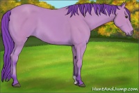 Horse Color:Watercolor Buckskin 