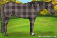 Horse Color:Plaid  Black 