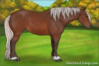 Horse Color:Silver Brown 