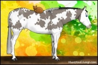 Horse Color:White Spotted Grullo Roan Splash 