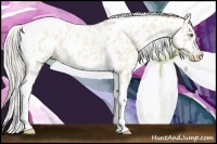 Horse Color:Silver Classic Champagne Roan Dun Splash Tobiano Frame Near Leopard Rabicano 