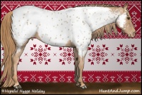 Horse Color:Chestnut Appaloosa 