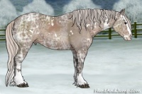 Horse Color:White Spotted Silver Black Ice Sabino Splash