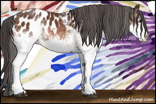 Horse Color: White Spotted Bay Blanket 