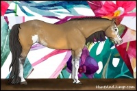 Horse Color:Buckskin Sabino