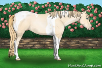 Horse Color:Smoky Black Pearl Tobiano 