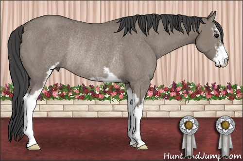 Horse Color: Grullo Sabino Rabicano 