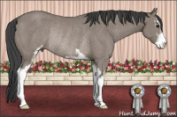 Horse Color:Grullo Sabino Rabicano 