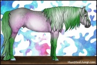 Horse Color:Gray Watercolor Brown Rabicano 