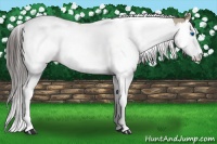 Horse Color:Smoky Grullo Roan Splash Tobiano 