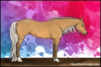 Horse Color:Silver Buckskin 