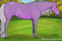 Horse Color:Watercolor Silver Brown 