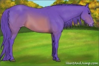 Horse Color:Watercolor Brown Appaloosa 