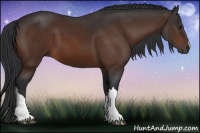 Horse Color:Brown 