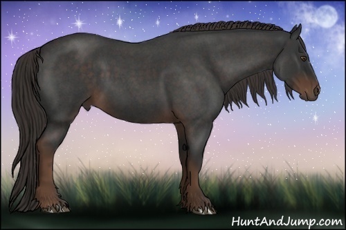 Horse Color: Liver Red Roan 
