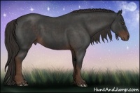 Horse Color:Liver Red Roan 