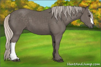 Horse Color:Silver Black 