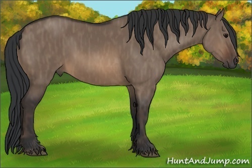 Horse Color:Brown Dun Rabicano Brindle