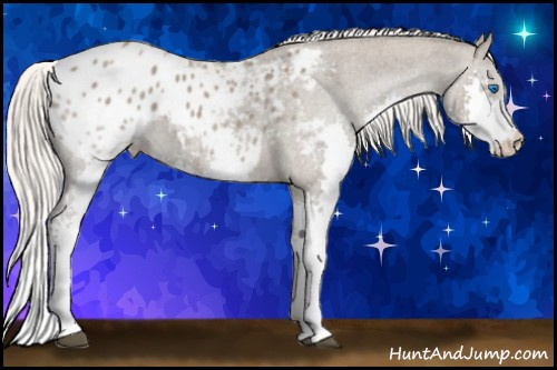 Horse Color: Silver Grullo Roan Splash Blanket 