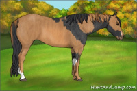 Horse Color:Brown Rabicano  Brindle
