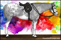 Horse Color:White Spotted Blue Roan Splash Frame Appaloosa 