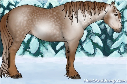 Horse Color:Gray Red Roan 