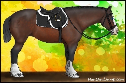 Horse Color: Brown Splash 