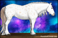 Horse Color:Bay Roan Dun Splash Appaloosa 