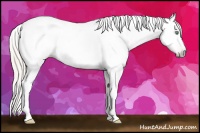 Horse Color:Gray Silver Amber Cream Champagne Roan Dun Splash Tobiano Frame Appaloosa Rabicano 