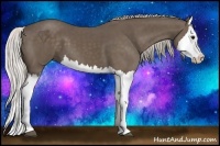 Horse Color:Silver Black Splash
