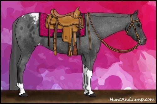 Horse Color: Black Tobiano Blanket 