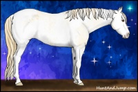 Horse Color:White Spotted Buckskin Dun Tobiano Appaloosa 