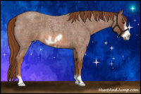 Horse Color:Liver Red Roan Frame 