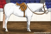Horse Color:White Spotted Buckskin Pearl Splash Snowcap 