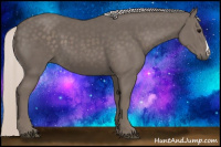 Horse Color:Silver Black 