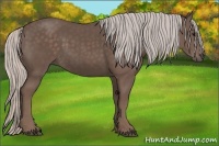 Horse Color:Silver Black 
