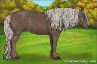 Horse Color:Silver Black 