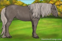 Horse Color:Silver Black 