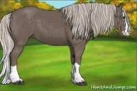 Horse Color:Silver Black Splash 
