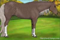 Horse Color:Silver Black 