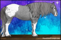 Horse Color:Black Splash Snowcap 